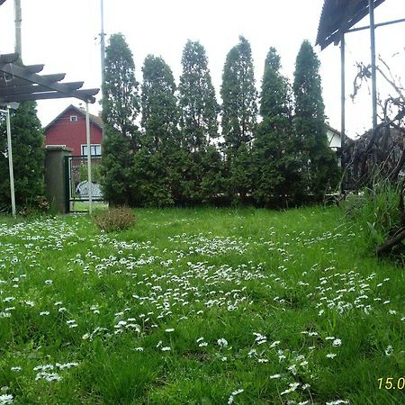 Kuca Za Odmor Jelena Apartamento Kladovo Exterior foto