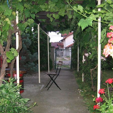 Kuca Za Odmor Jelena Apartamento Kladovo Exterior foto