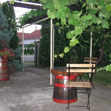 Kuca Za Odmor Jelena Apartamento Kladovo Exterior foto