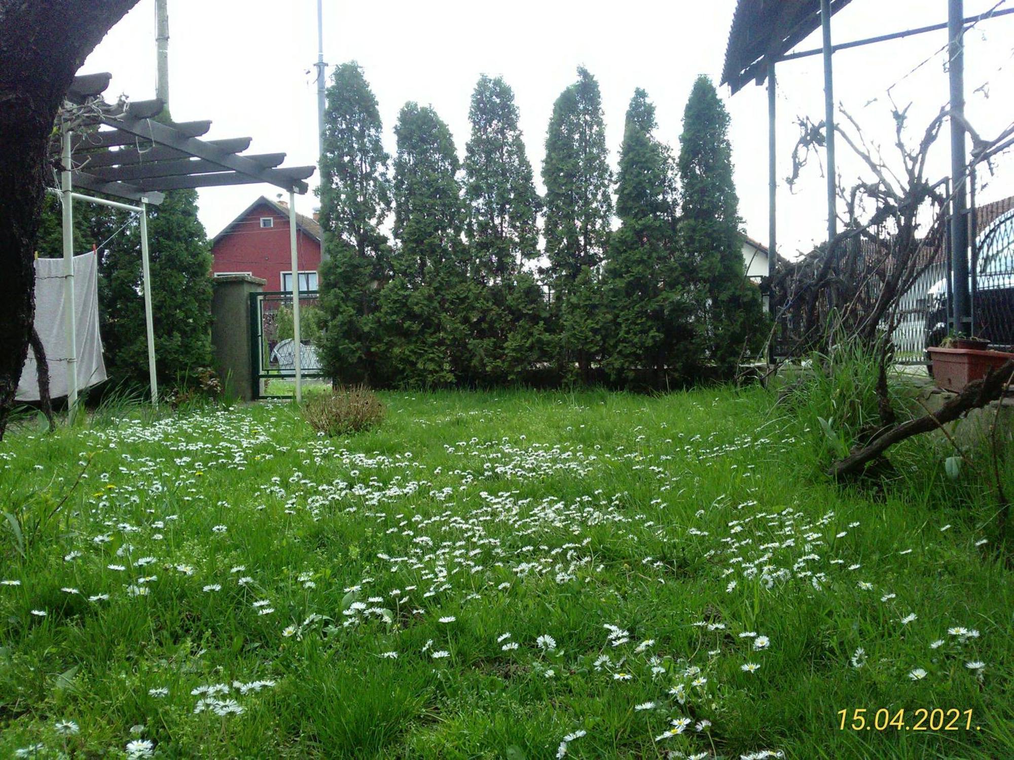 Kuca Za Odmor Jelena Apartamento Kladovo Exterior foto