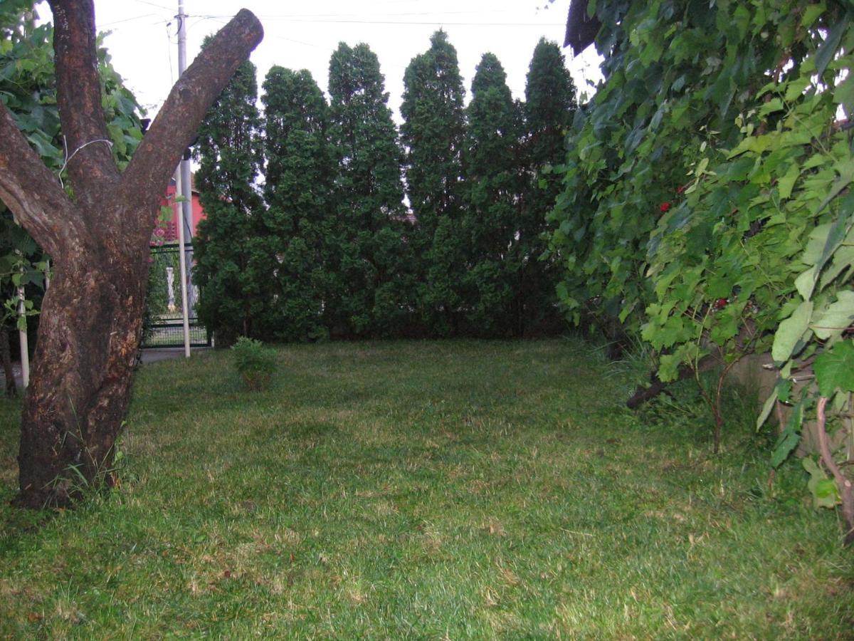 Kuca Za Odmor Jelena Apartamento Kladovo Exterior foto