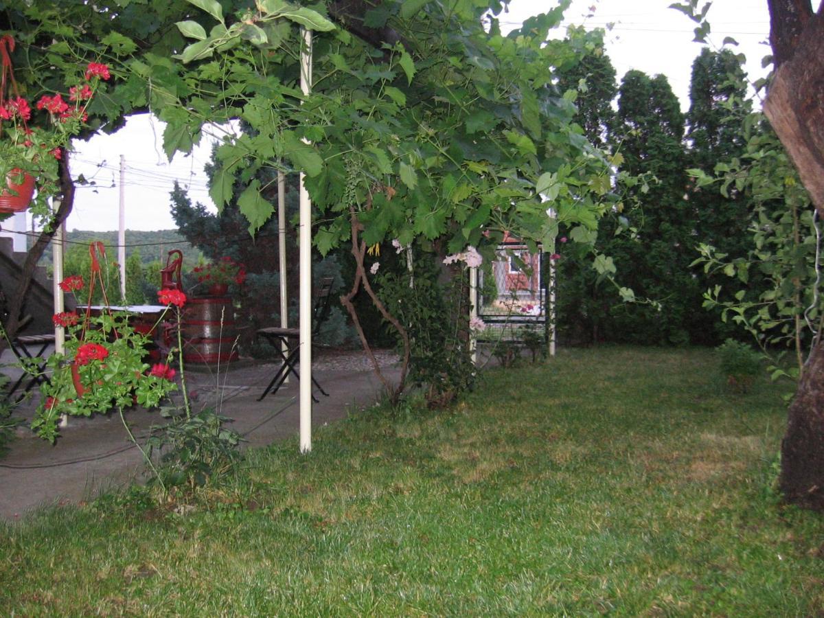 Kuca Za Odmor Jelena Apartamento Kladovo Exterior foto