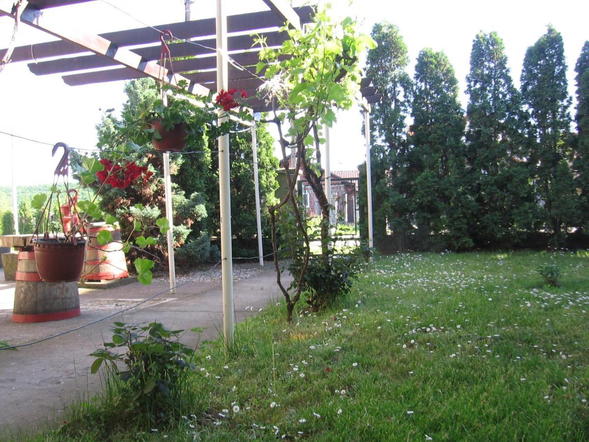 Kuca Za Odmor Jelena Apartamento Kladovo Exterior foto